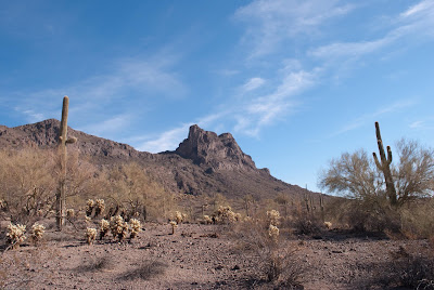 Picacho, Picacho Peak, hike, desert, cactus