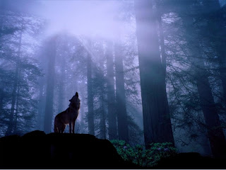 Wolf Wallpapers HD