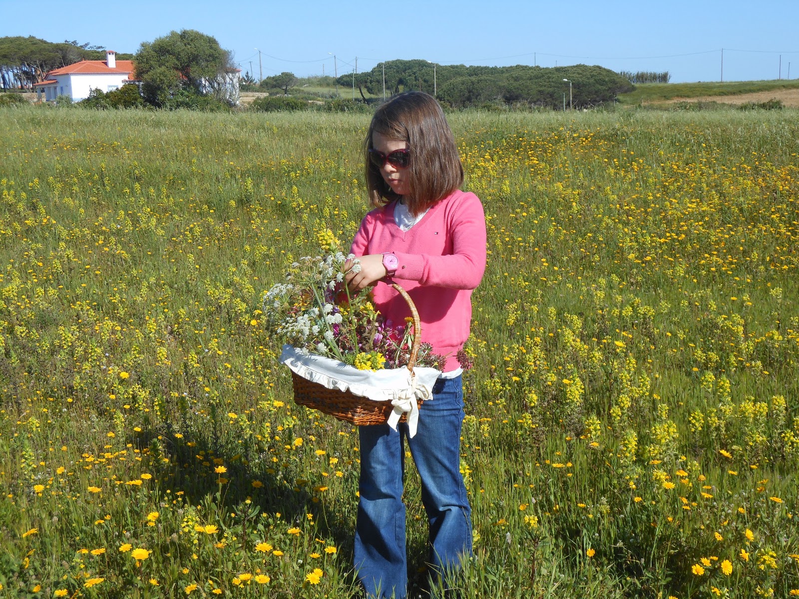 Fotos E Nomes De Flores Do Campo - Época das flores Flores da estação Noivas On Line