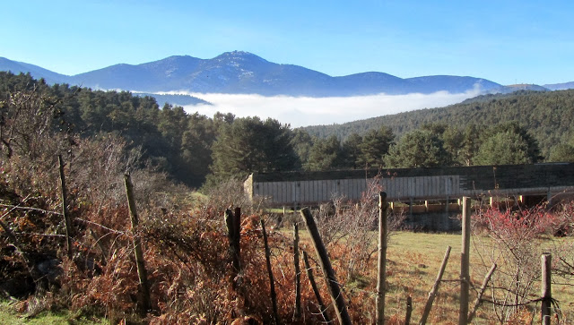 La Niebla en San Rafael