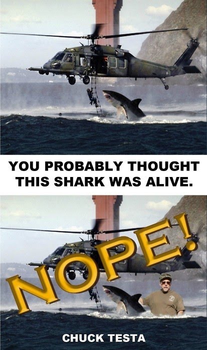 Shark - Nope Chuck Testa