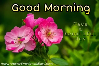 good-morning-photo-download-the-motivational-diary-by-ram-maurya