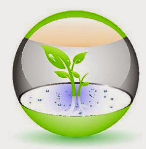 Biomass Briquette Plant Is Used To Save Natural Resources