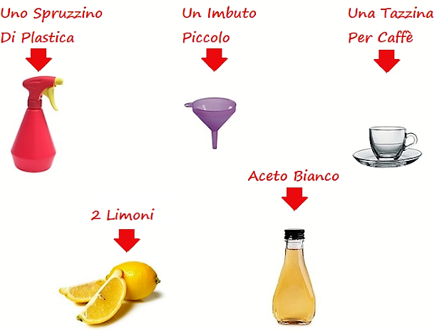 occorrente-ingredienti-naturali-insetticida-formiche-fatto-in-casa