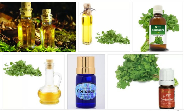 Coriander Oil for Diabetes