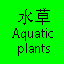 水草 Aquatic plants