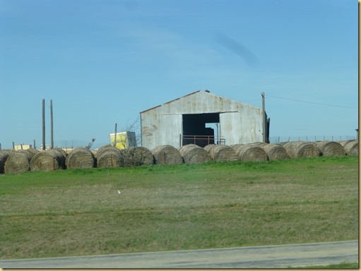P1030659