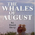Οι φάλαινες του Αυγούστου 