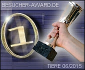 Gewinner Besucher Award