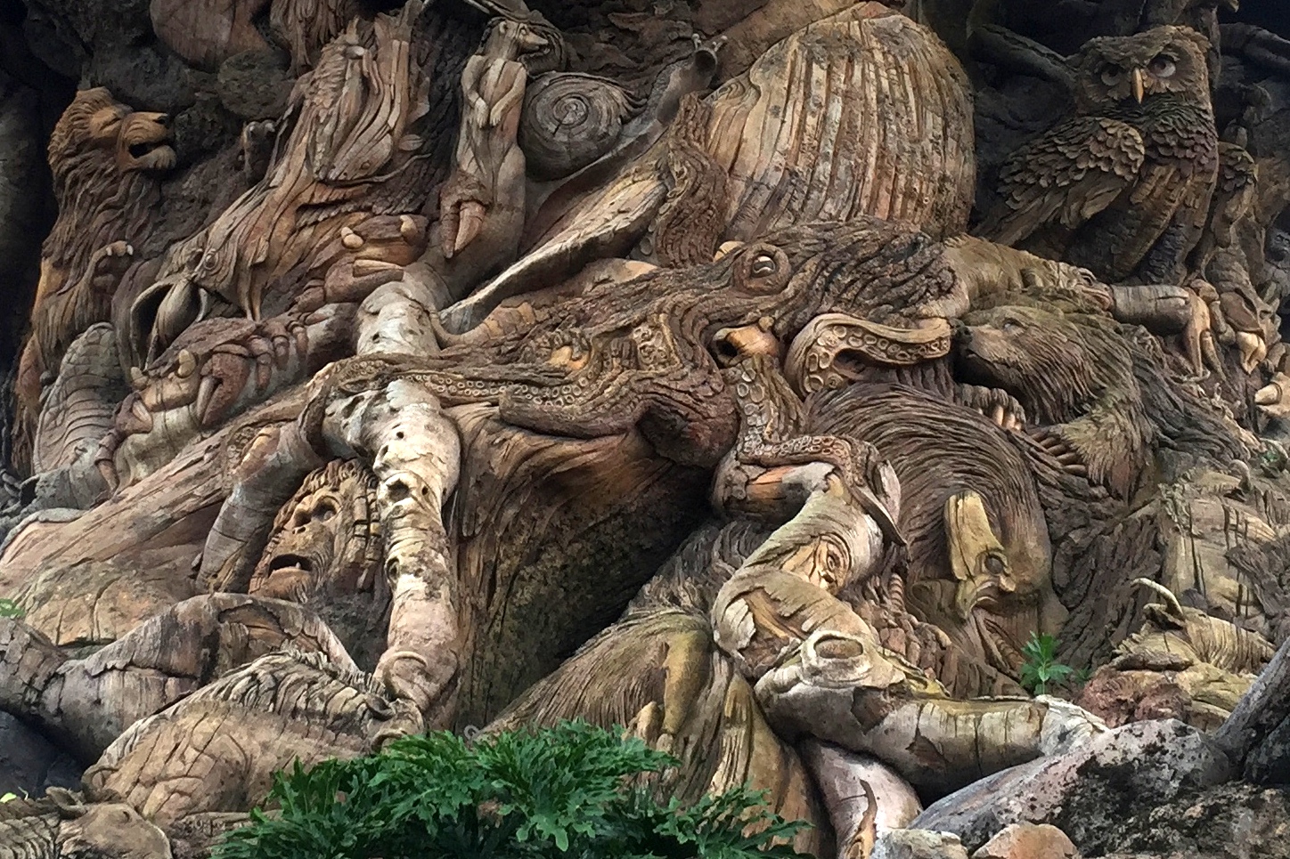 Download My Paisley World: All About Disney's Animal Kingdom Tree of Life