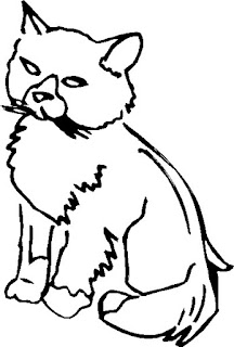 Cat Photo