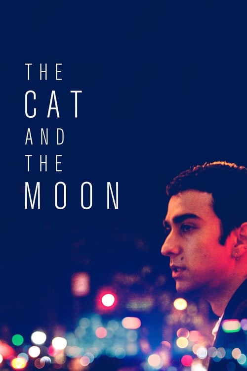 [HD] The Cat and the Moon 2019 Online Español Castellano