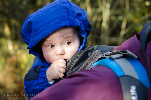 Young baby being taken for a walk through autumn woods, shot by Tommy Martin, for Sprayway