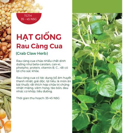 Hạt giống Rau càng cua 763AQ