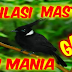 Download Kompilasi Kicau Mania Mp3 Gratis