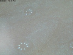 Human sweat pores 2  (2)