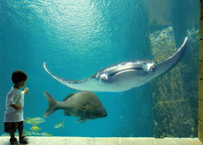 atlantis bahamas