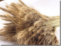 Growth Green Agriculture