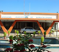 Nuclear Institute of Agriculture, Tando Jam