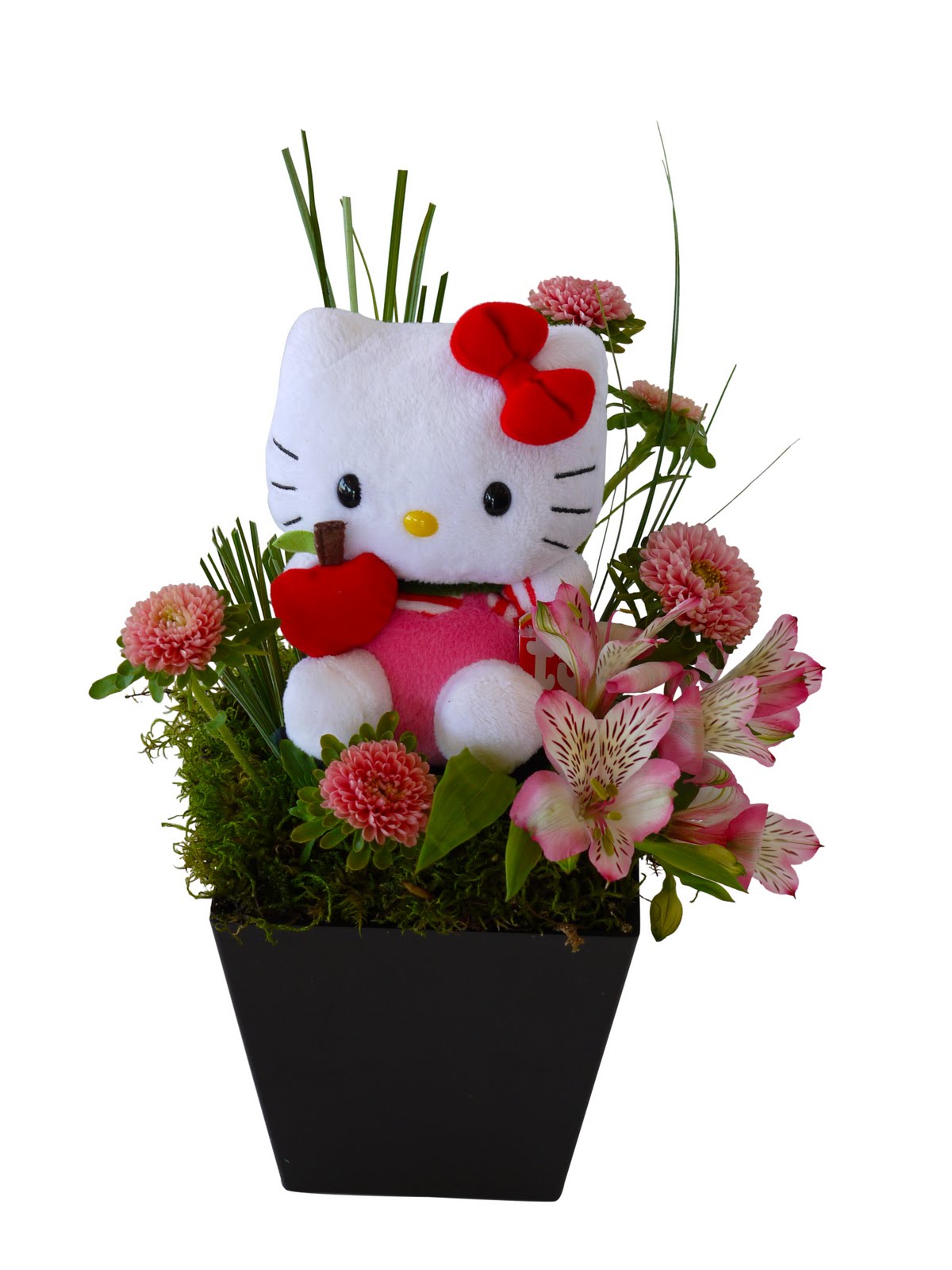 In Bloom Flowers  Blog Hello  Kitty 