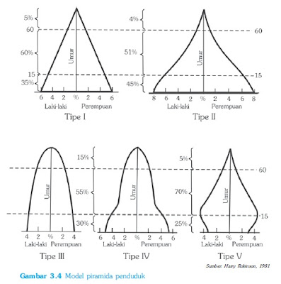 Bentuk Bentuk Model Piramida Penduduk