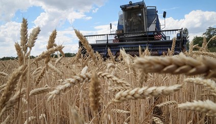 Rússia disponível para fornecer gratuitamente cereais a países africanos