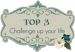 Top 3 Winner Challenge Up Your Life