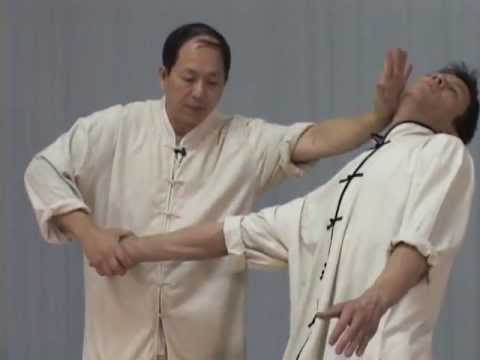 Taijiquan Qinna - Demonstrated by Yang Jwing-Ming