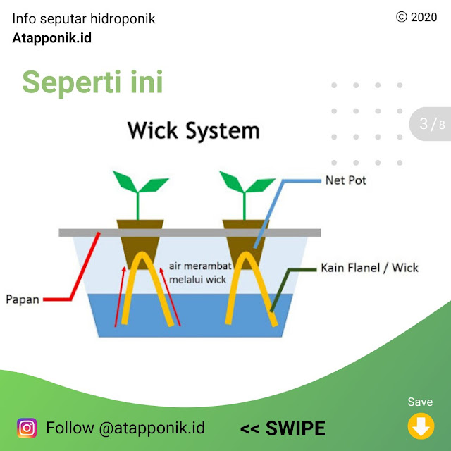 hidroponik-metode-wick