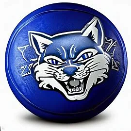 Kentucky Wildcats Concept Basketballs