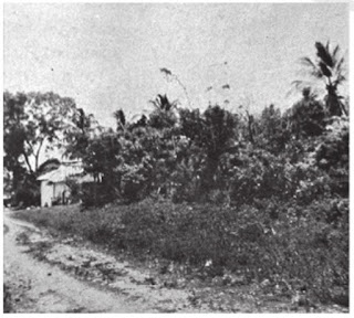 casa de los canelos de mutis