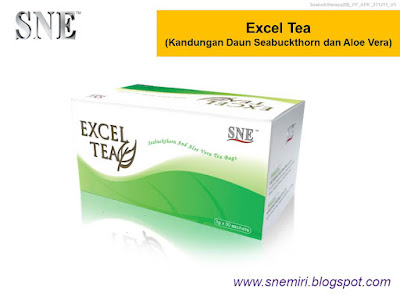 sne excel tea