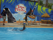 I visited for two days Terra Natura Murcia, a zoo, and a water park. (terra natura water park)