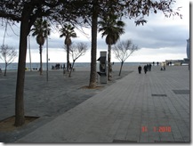 DSC00726