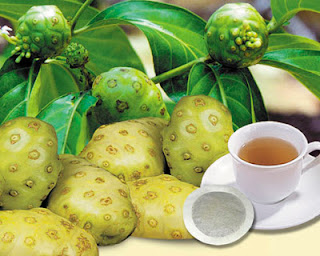 Benefits and content of Noni Fruits