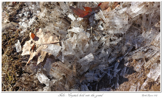 Fells: Crystals hold onto the ground