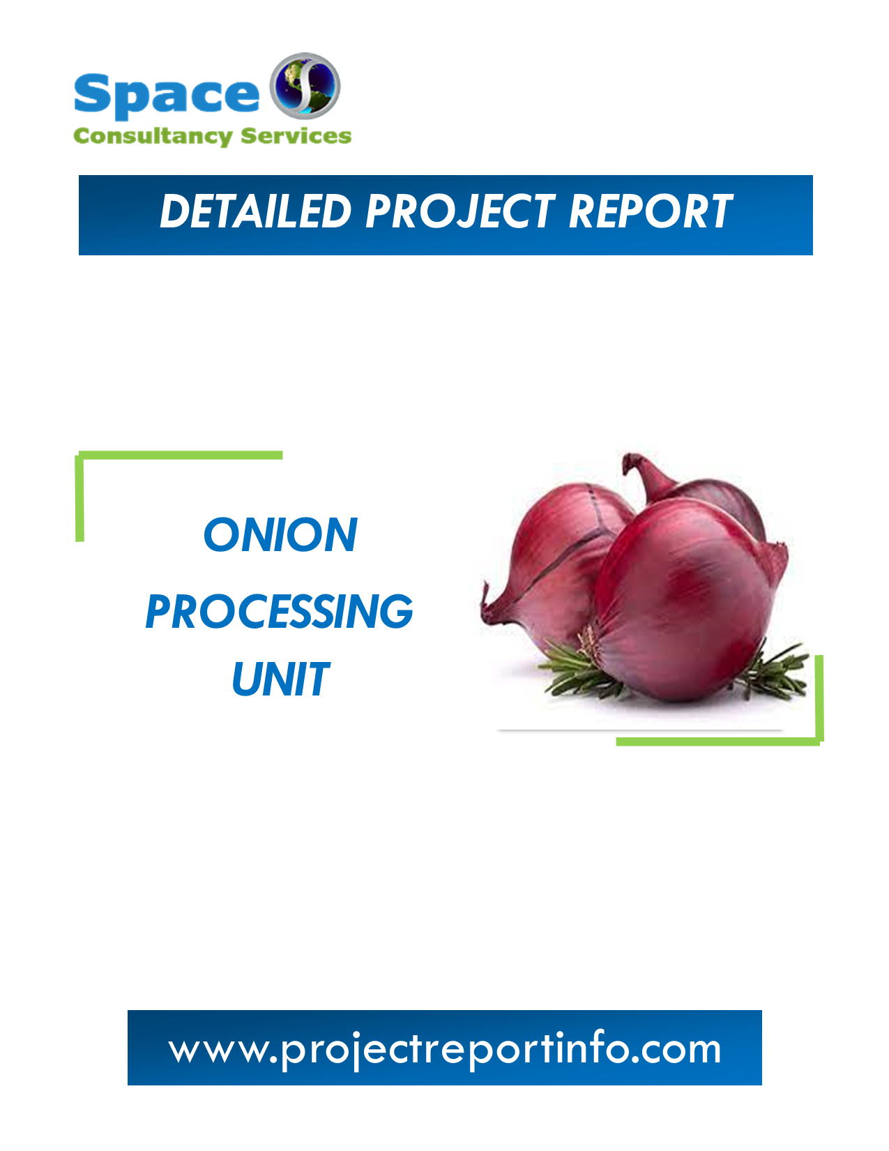 Project Report on Onion Processing Unit