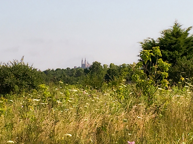 Ice Age Trail Loew Lake Segment