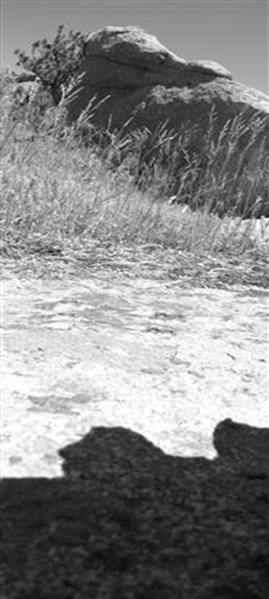 DSCF3366 (Small)
