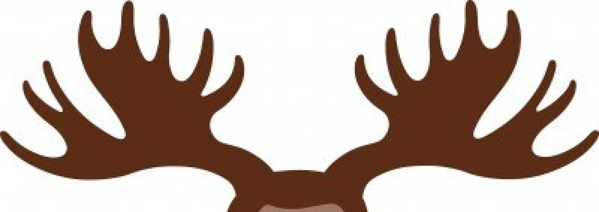 moose+antlers