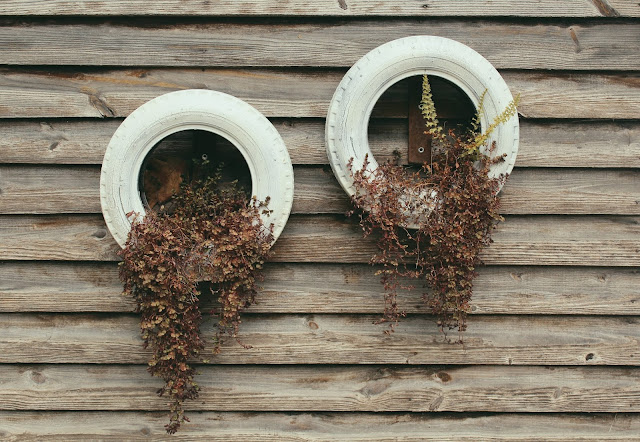  Repurposed tyres as plant holders Photo by "My Life Through A Lens" on Unsplash