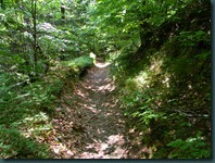 DSCN1607