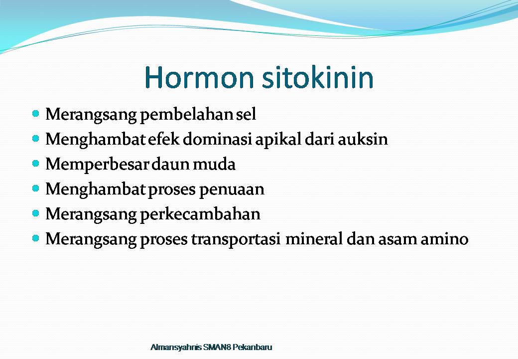 Contoh Makalah Laporan Hasil Observasi  