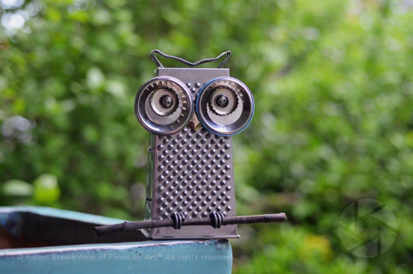 Cheese Grater Owl