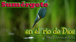 Sumérgete en el río de Dios