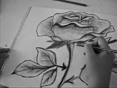 Cách vẽ hoa hồng