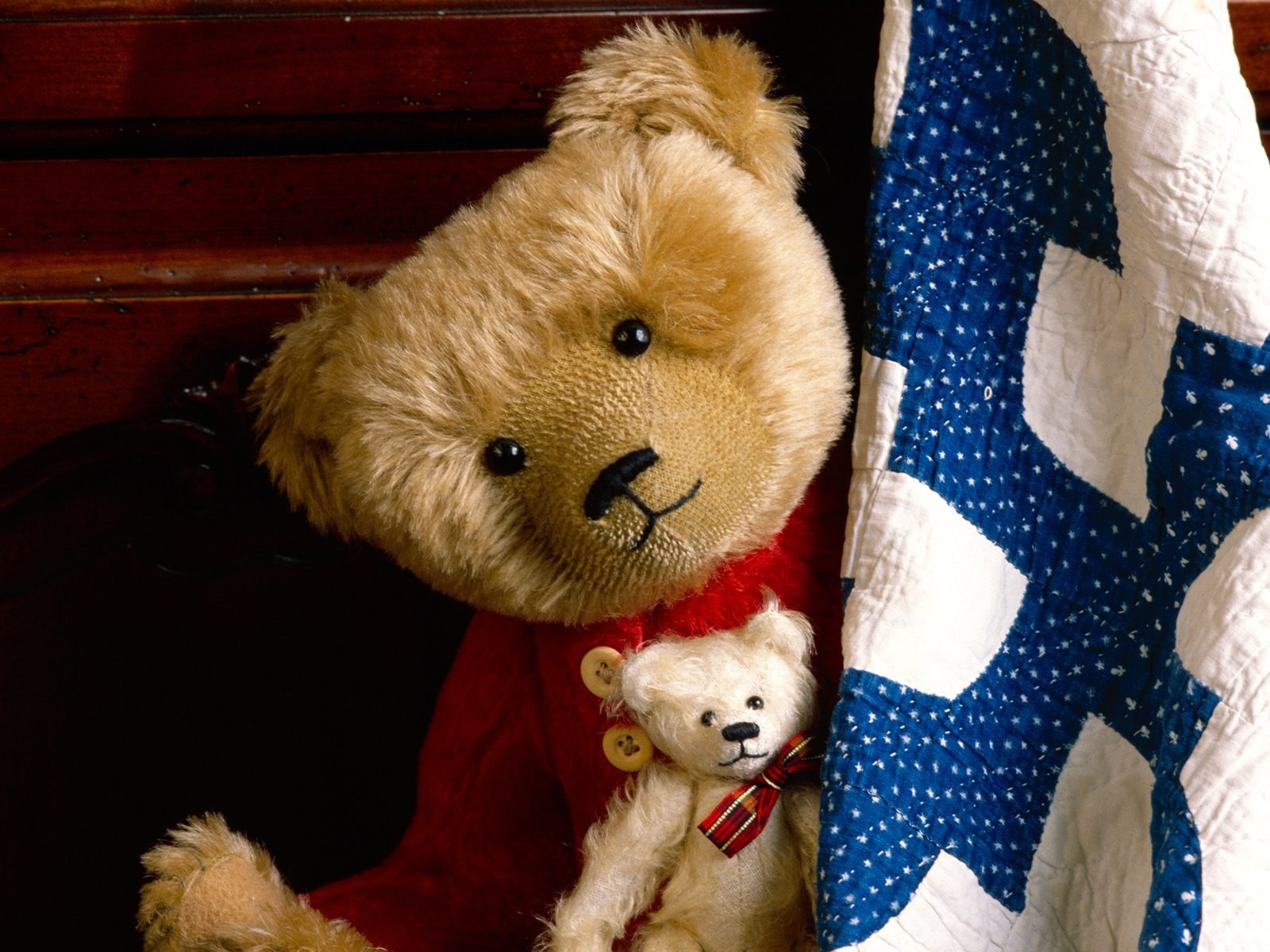 Teddy Bear Happy Birthday Wish