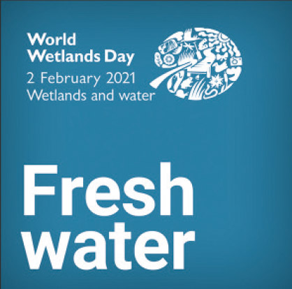 World Wetlands Day 2021