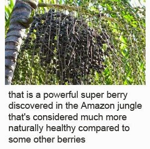 acai berry for weight loss