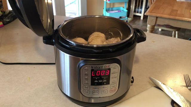 instant pot frozen chicken